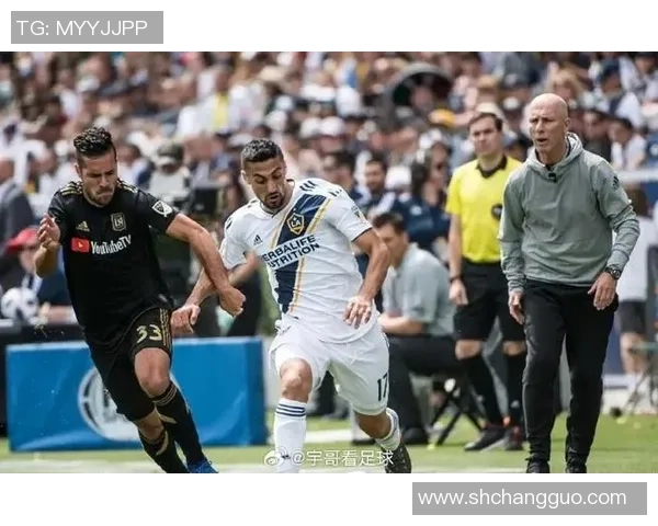 探索小众足球之美：那些被遗忘的球星与独特赛场风采