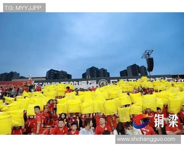 榆林首位女足球星崭露头角,闪耀赛场成就耀眼传奇 榆林首位女足球星崭露头角,闪耀赛场成就耀眼传奇